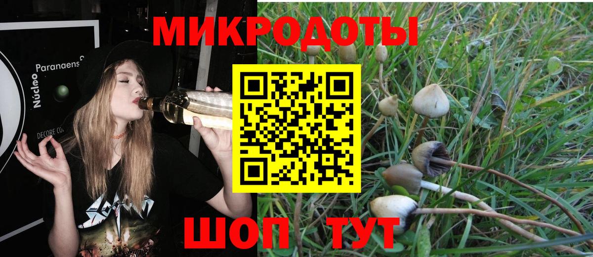 Галлюциногенные грибы Cubensis Ставрополь