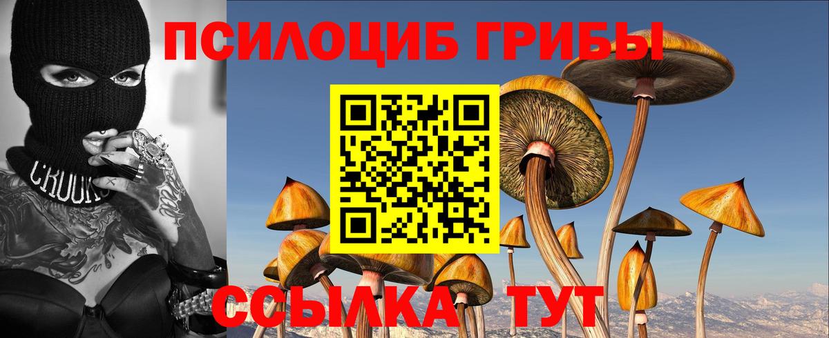 Псилоцибиновые грибы MAGIC MUSHROOMS  Вход с VPN  Ставрополь  Галлюциногенные грибы мицелий 